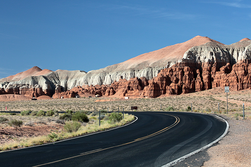Bison : Antelope Island : Utah : Landscape Photos : Richard Moore : Photographer